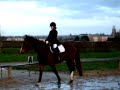 Concour de dressage du 21/01/2007 � S�es avec Nymphe