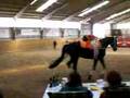 videos de 1. Block Pflicht Turnier Borgloh 08