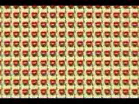 شكش
