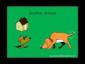 Stop Dogs From Digging