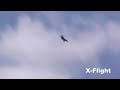 X-Flight SU-34