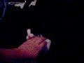 kitten biting