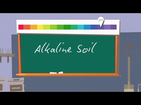 video-linktoworks-How to Adjust Soil pH in my Lawn