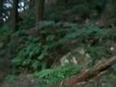 Hiking in the Asama Mountain Range