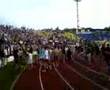 borovac grobar