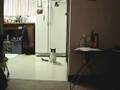 It's a Wondeful Kitty-Life