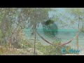 Exotic, Enticing Zanzibar in East Africa