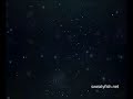 sweatyfish-Ryan Adams-When The Stars Go Blue