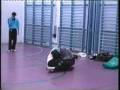 SteFanJKD/Sweden; Historical sparring Unedited
