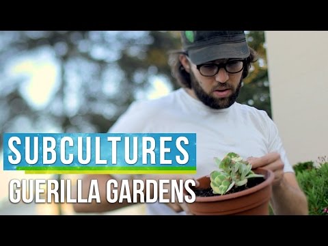 LA guerrilla gardeners turning urban wastelands into public gardens