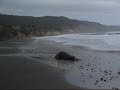 Elephant Seals