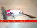 [釣り]45cmのナマズをゲットした、鯰釣りの様子を撮影したほのぼの動画。のサムネイル