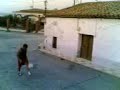 joga-bonito-calzadilla.html