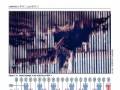 9/11 Eyewitness
