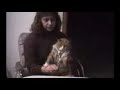 funny cats 1