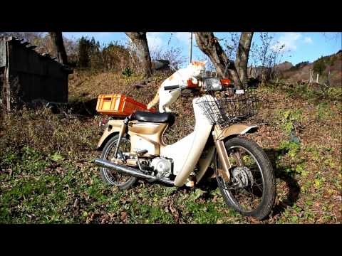スーパーカブ SuperCub