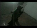 Kenpo Paraná (Juanma vs Lautaro) Kenpo Paraná (Juanma vs Lautaro)