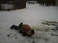 Matthew stands up on sled on ramps