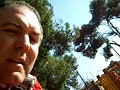 leliana ayuntamiento tala arboles   no a la tala
