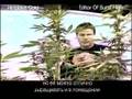 Green House Seed Co. Himalaya Gold Grow w/Russian Subtitles