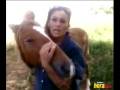 videos de Rescata caballos maltratados