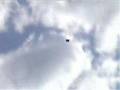 Wing-suit-base-jumpe