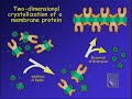 The Aquaporin-0 Mediated Membrane Junction