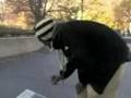Damu The Fudgemunk - Washington Square Park Beats