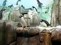 When penguins attack When penguins attack