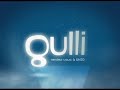 gulli... programme de la nuit