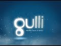 gulli... programme de la nuit