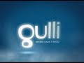 gulli... programme de la nuit