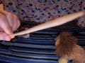 Webkinz Fairytail Korner: The Princess Knapper Webkinz Fairytail Korner: The Princess Knapper