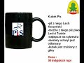 Oferty sklepu ?abka na rok 2008 (ivona) Oferty sklepu ?abka na rok 2008 (ivona)