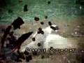 videos de Rally Barbados 07