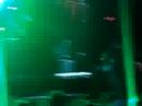Ozzy Osbourne en argentina Quilmes Rock Festival 2008 (2)