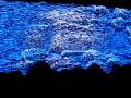 Nine Inch Nails Dallas The Greater Good