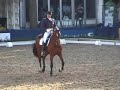 johan rockx en kondor nk eindhoven