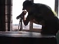 Espiando-a-mi-vecina