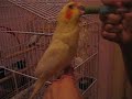 July tomando papinha!