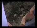 Sewer Line clogged with grease