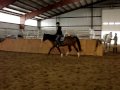 Dinah Sale Video