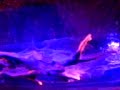 FUERZA BRUTA