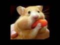 videos de Nothing Else Matters [bRRK remix]
