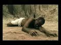 dir : abimael gandy-domdom dharmoph : blueprint