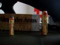 videos de .50 Beowulf vs .44 mag cartridge comparison