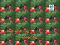 mage pod yalu part 1