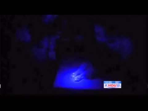 0 photo 0 Genetically modified Dog Glows in the Dark picture