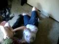 Fat Kid Attacked by Shitzu