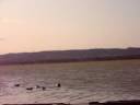 tir male col.MOV